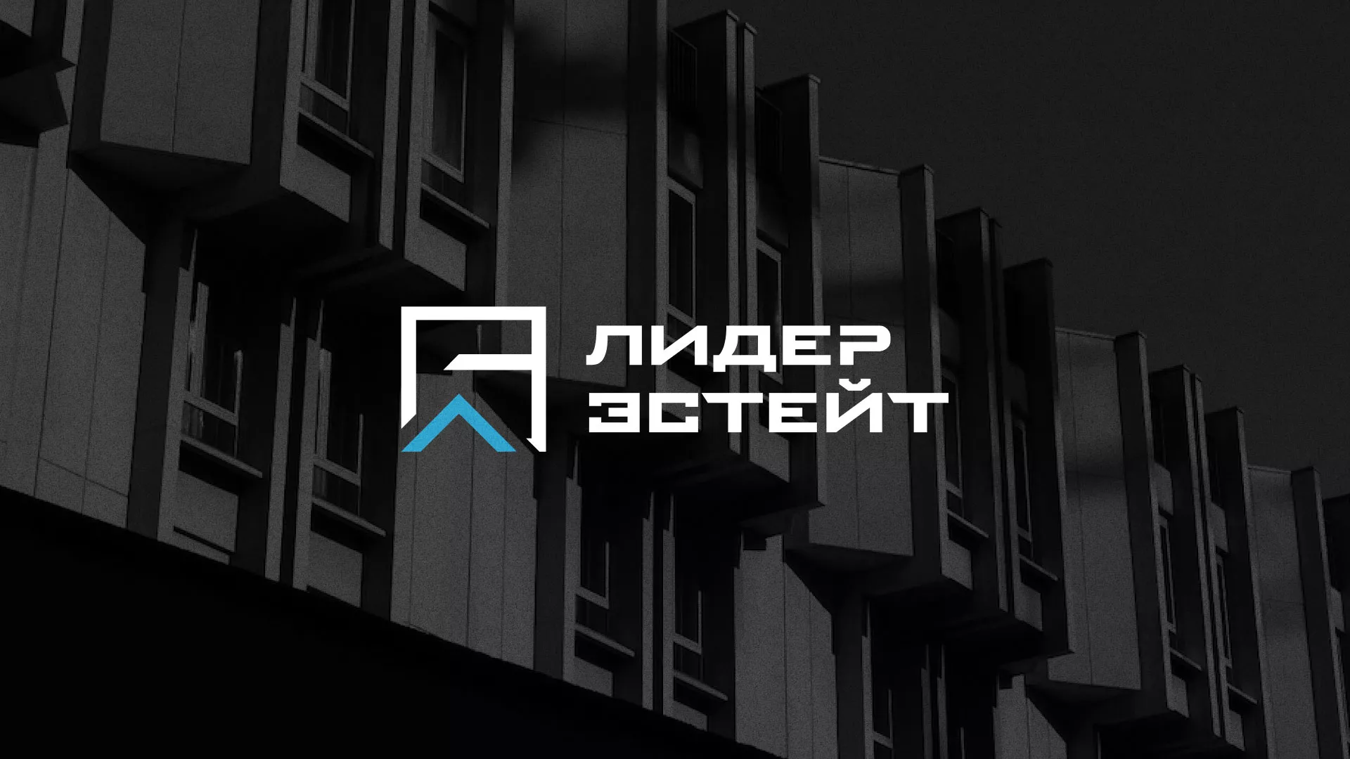 Разработка логотипа агентства недвижимости «Лидер Эстейт» в Электростали